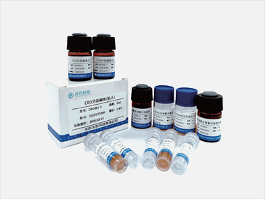 细胞分选与激活磁珠